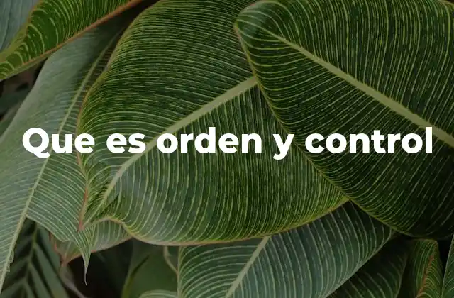 La importancia del orden y el control en el desarrollo organizacional