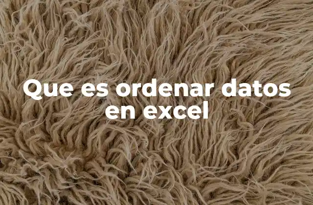 Que es Ordenar Datos en Excel