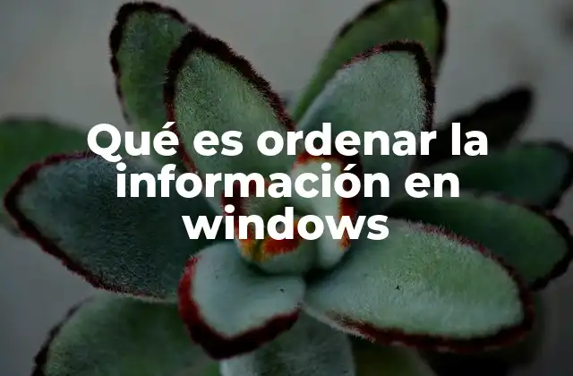 Qué es Ordenar la Información en Windows 2 Cómo el sistema operativo ayuda en la gestión eficiente de archivos