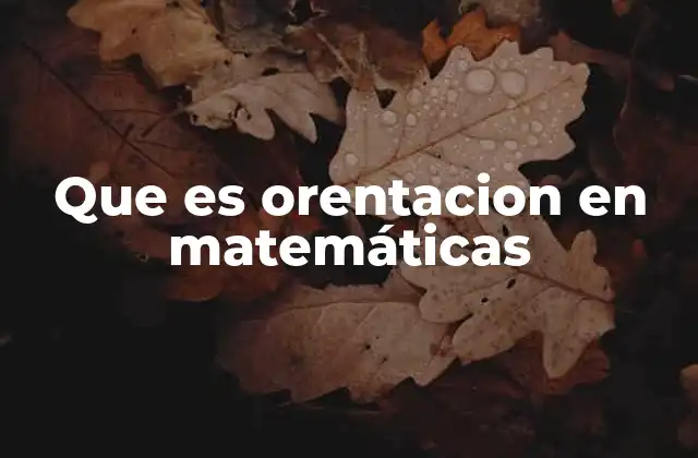 La importancia de la orientación en la geometría y el cálculo
