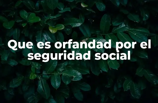 Que es Orfandad por el Seguridad Social