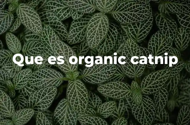 Que es Organic Catnip