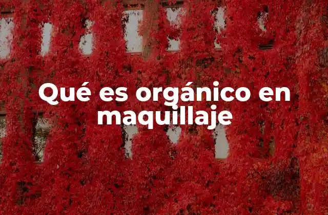 Qué es Orgánico en Maquillaje