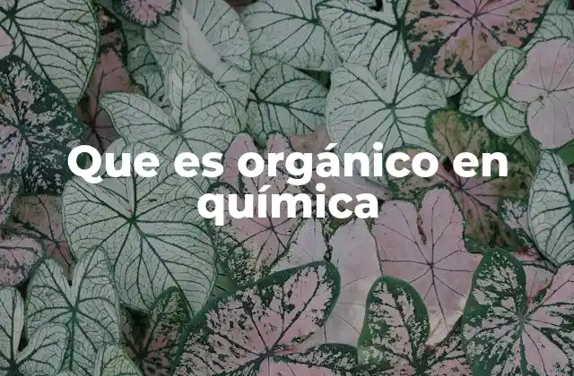 Que es Orgánico en Química