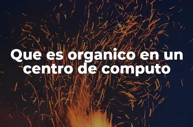 Que es Organico en un Centro de Computo