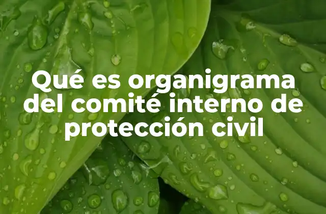 Qué es Organigrama Del Comité Interno de Protección Civil