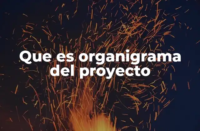 La importancia de tener un organigrama en el desarrollo de un proyecto