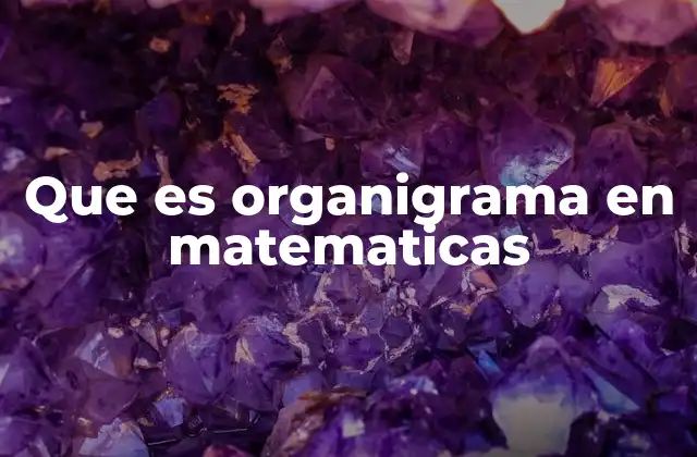 Que es Organigrama en Matematicas