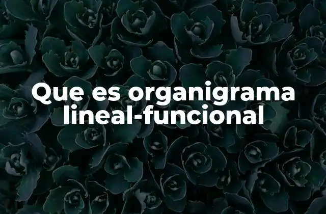 Que es Organigrama Lineal-funcional