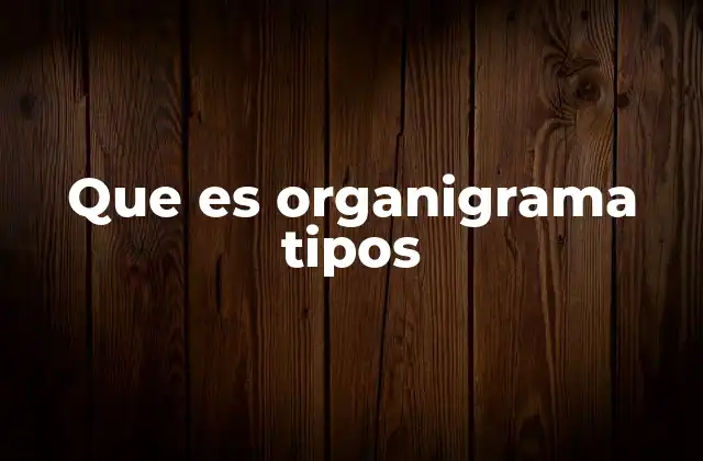 Que es Organigrama Tipos