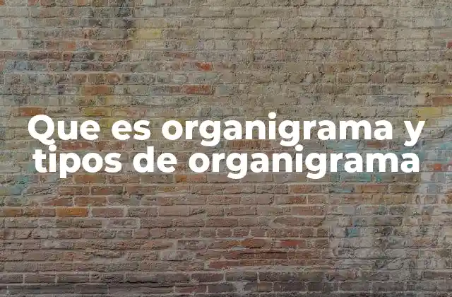 Que es Organigrama y Tipos de Organigrama