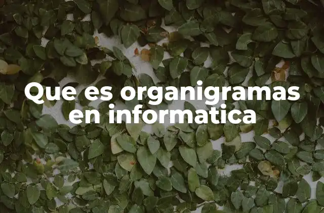 Que es Organigramas en Informatica 2 La importancia de la estructura visual en la gestión tecnológica