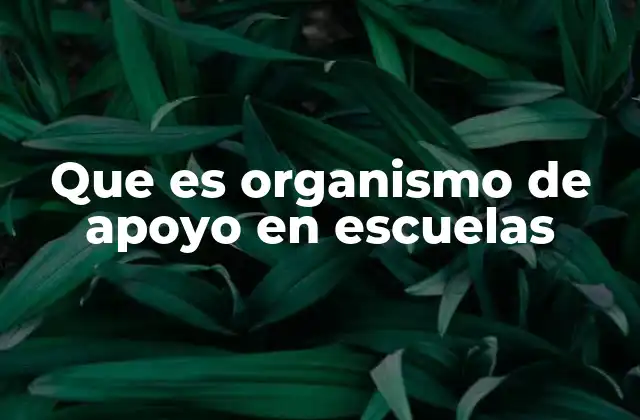 Que es Organismo de Apoyo en Escuelas