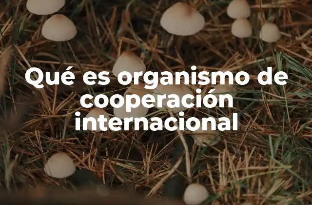 Qué es Organismo de Cooperación Internacional