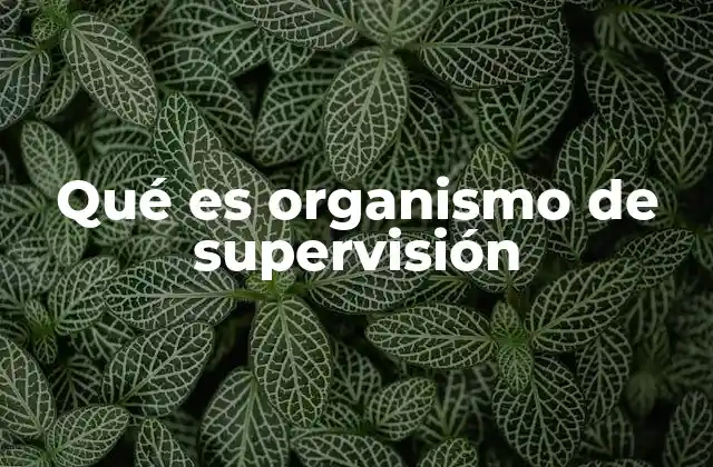 Qué es Organismo de Supervisión