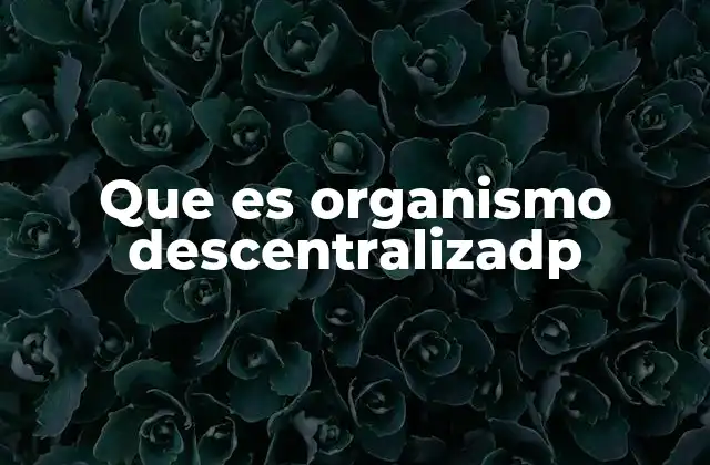 Que es Organismo Descentralizadp