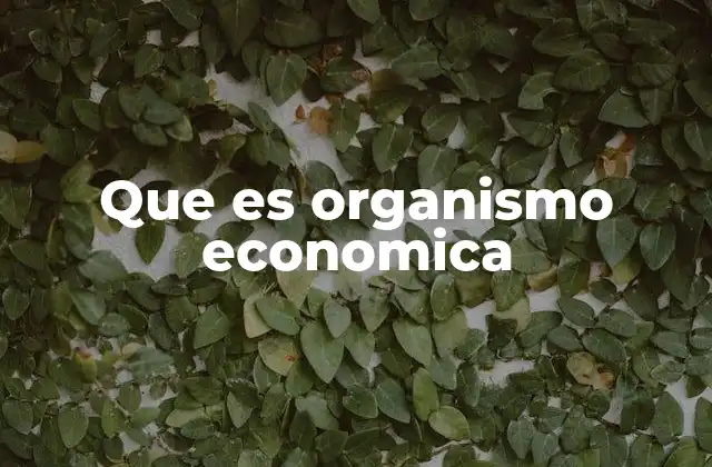Que es Organismo Economica