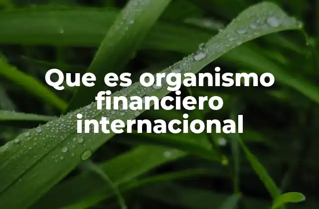 La importancia de los organismos financieros en la economía global