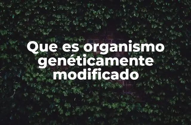 Que es Organismo Genéticamente Modificado