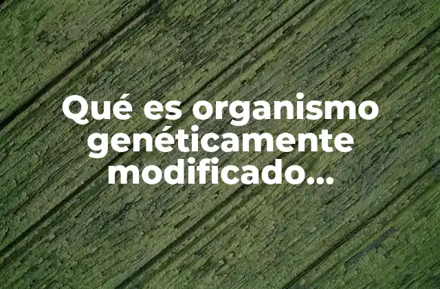 Qué es Organismo Genéticamente Modificado Información