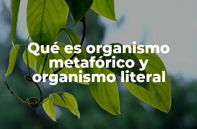 Qué es Organismo Metafórico y Organismo Literal