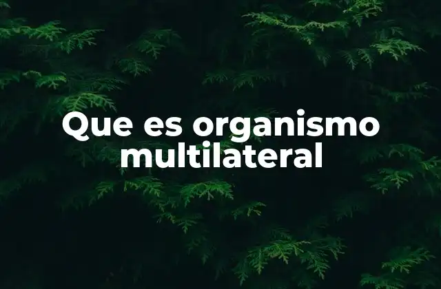 Que es Organismo Multilateral