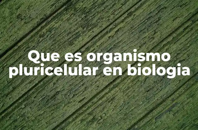 Que es Organismo Pluricelular en Biologia