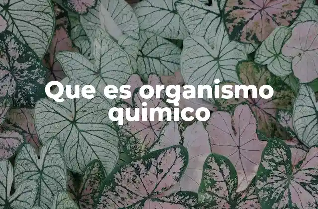 Que es Organismo Quimico