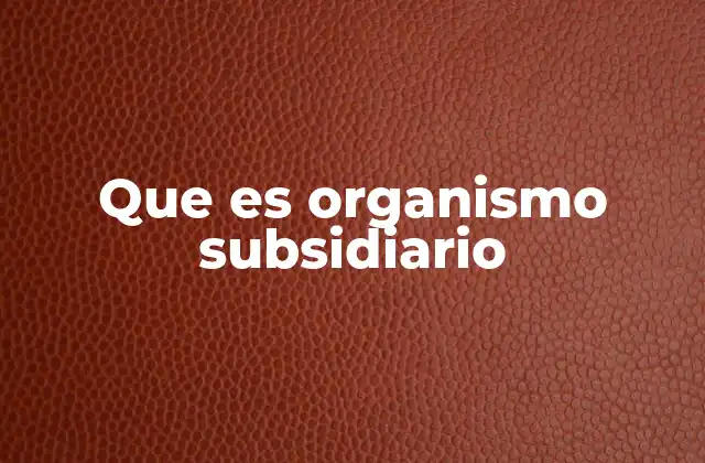 Que es Organismo Subsidiario
