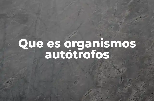 Que es Organismos Autótrofos