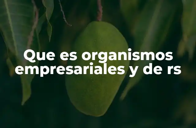 Que es Organismos Empresariales y de Rs