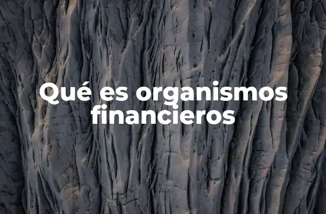 Qué es Organismos Financieros