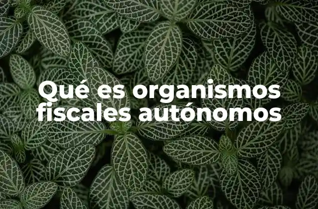 Qué es Organismos Fiscales Autónomos
