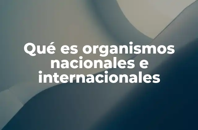 Qué es Organismos Nacionales e Internacionales