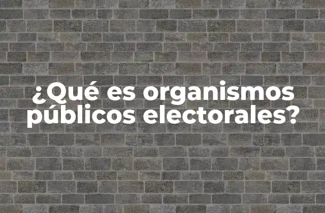 ¿qué es Organismos Públicos Electorales?