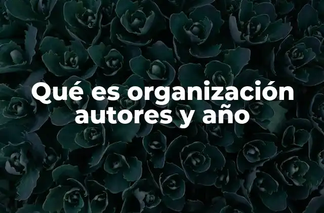Qué es Organización Autores y Año