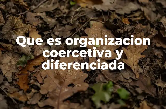 Que es Organizacion Coercetiva y Diferenciada 2 Características de las organizaciones delictivas con estructura jerárquica