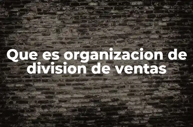 Que es Organizacion de Division de Ventas
