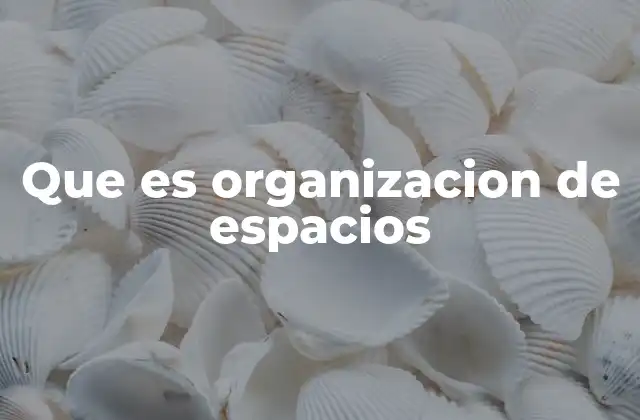 Que es Organizacion de Espacios
