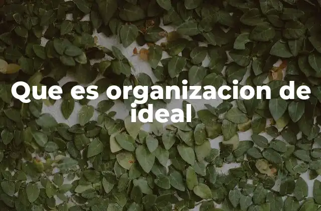 Que es Organizacion de Ideal