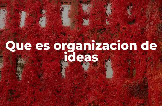 Que es Organizacion de Ideas