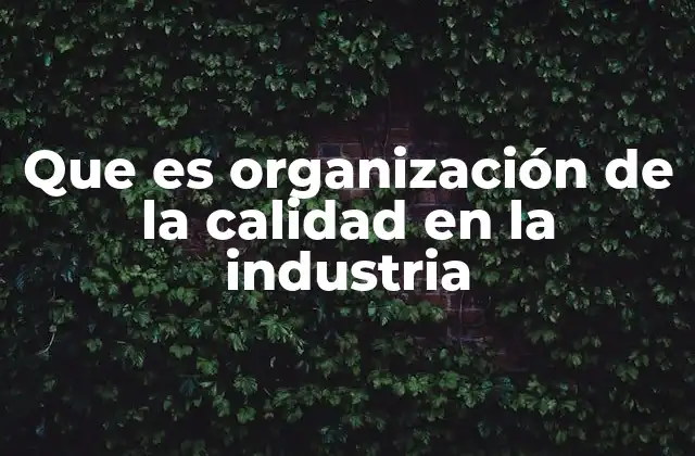 Que es Organización de la Calidad en la Industria