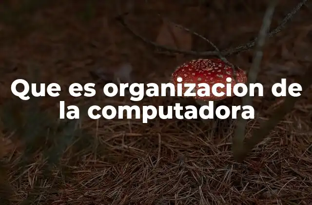 Que es Organizacion de la Computadora