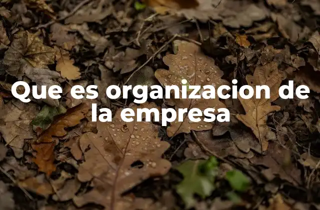 Que es Organizacion de la Empresa