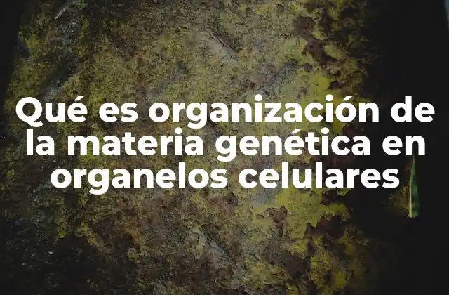 Qué es Organización de la Materia Genética en Organelos Celulares