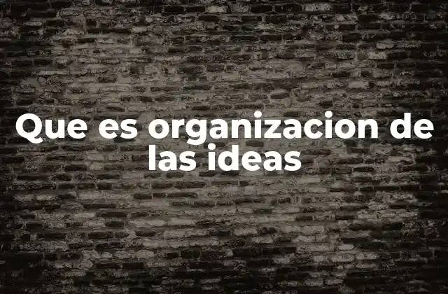 Que es Organizacion de las Ideas