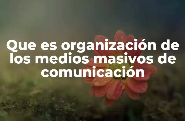 Que es Organización de los Medios Masivos de Comunicación