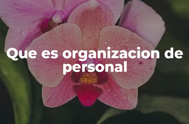 Que es Organizacion de Personal