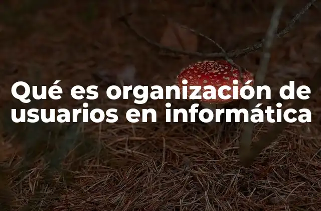 Qué es Organización de Usuarios en Informática