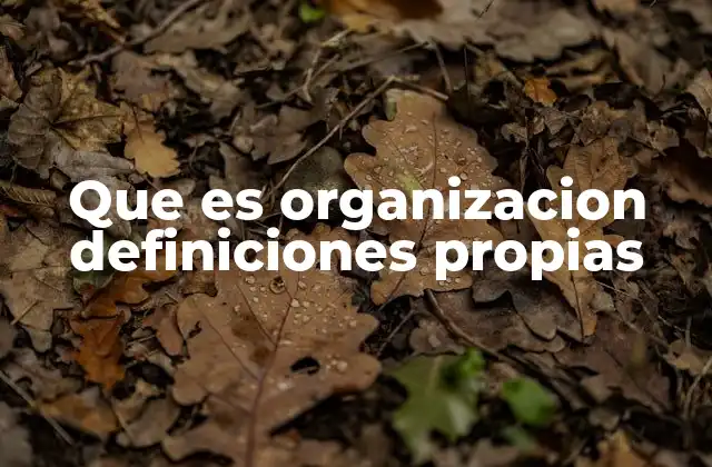 Que es Organizacion Definiciones Propias